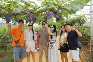 'Visitors amazed by the beauty of grapevines dripping with ripe fruit