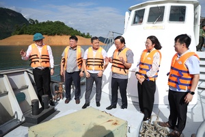  Provincial leaders survey tourism, energy, transportation development in Son La hydropower reservoir area