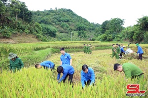 'Đoàn phương Chiêng Cơi ók quân Chiến dịch dệt vịa đì
