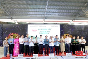 Tẳng tánh chủm mú po hay me na giỏi chang cuồng pàng sy máư