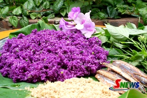 'Delicacies rich in flavours of northwestern Vietnam’s mountains and forests
