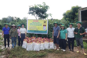 'Son La farmers receive support in climate-resilient coffee cultivation