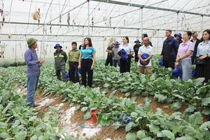 ' Workshop focuses on applying water-saving irrigation solutions