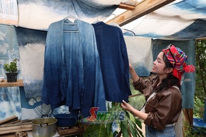 'Ta Xua workshop breathes new life into Mong indigo dyeing