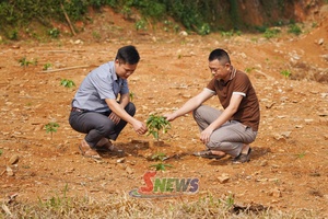 'Muong Bam advances sustainable agricultural production