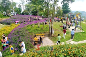 'Bình Thuận tok 3.000 lưv pưs kruô nuôv zax hâur 3 hnuz so uô ntêx jâus 2/9