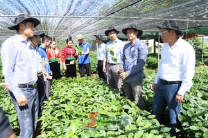 'Công ty CP Phúc Sinh Sơn La khặn khang chu póng vịa hảư Pàng hội Cà phê