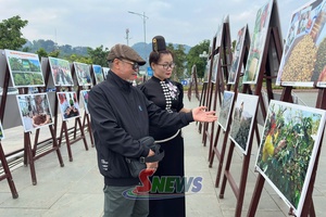 'Photo exhibition highlights Son La coffee’s journey to wider markets