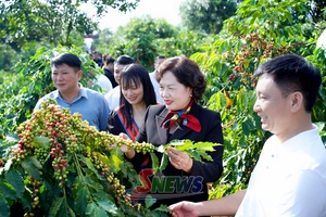 NA Vice President visits coffee processing plant, agricultural and tourism models in Son La