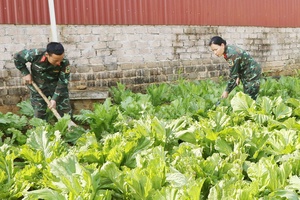 Thực hiện tốt công tác hậu cần quân đội