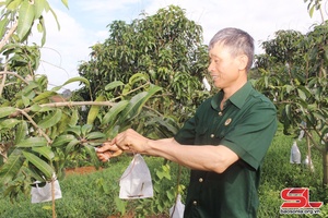 'Đoàn kết, đồng lòng phát triển kinh tế hợp tác