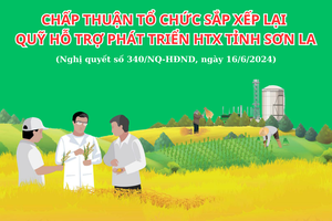 'Chấp thuận tổ chức sắp xếp lại Quỹ hỗ trợ phát triển HTX tỉnh Sơn La
