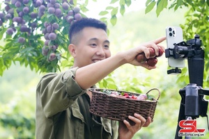 'Chàng thanh niên livestream bán nông sản Sơn La