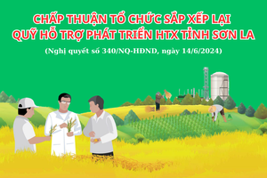 Chấp thuận tổ chức sắp xếp lại Quỹ hỗ trợ phát triển HTX tỉnh Sơn La