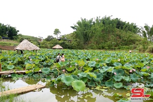 Hạt mưa