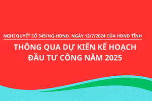 Nghị quyết số 345/NQ-HĐND, ngày 12/7/2024 của HĐND tỉnh