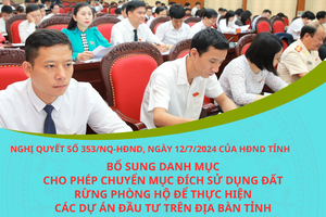 Nghị quyết số 353/NQ-HĐND, ngày 12/7/2024 của HĐND tỉnh  