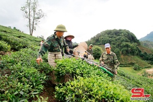 Phát huy vai trò tiên phong, gương mẫu của đảng viên