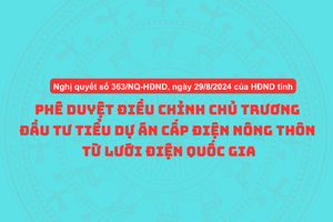 Phê duyệt điều chỉnh chủ trương đầu tư Tiểu dự án cấp điện nông thôn từ lưới điện quốc gia