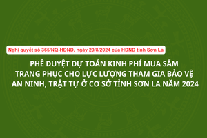 'Phê duyệt dự toán kinh phí mua sắm trang phục cho lực lượng tham gia bảo vệ ANTT ở cơ sở