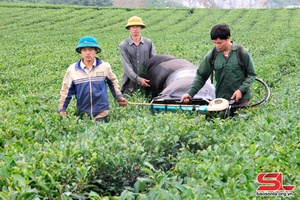 'Tháo gỡ khó khăn thực hiện chương trình mục tiêu quốc gia