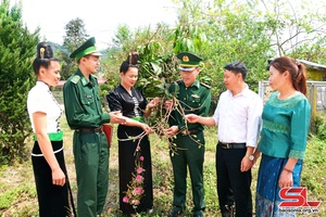 'Dân vận khéo thì việc gì cũng thành công