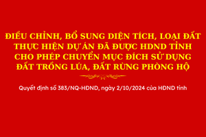 Điều chỉnh, bổ sung diện tích, loại đất thực hiện dự án đã được HDND tỉnh cho phép chuyển mục đích sử dụng đất trồng lúa, đất rừng phòng hộ