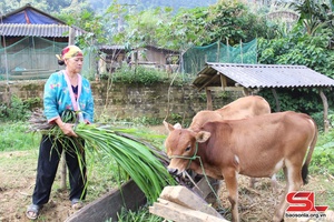 Co Mạ nỗ lực giảm nghèo