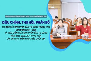 Nghị quyết số 379/NQ-HĐND, ngày 2/10/2024 của HĐND tỉnh