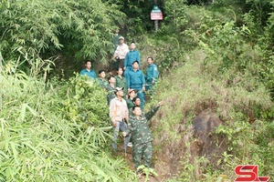 'Tú Nang giữ xanh rừng