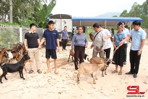 'Sử dụng hiệu quả nguồn vốn chính sách vùng đồng bào dân tộc thiểu số