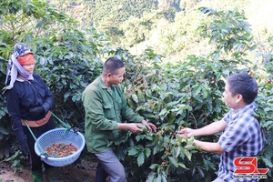 'Tông Cọ khai thác tiềm năng phát triển kinh tế