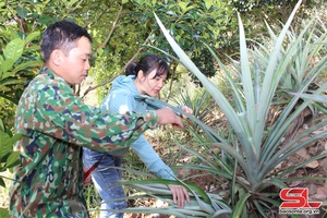 Liên kết nâng cao giá trị sản phẩm địa phương