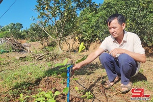 'Huổi Một nỗ lực vươn lên