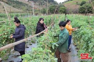 'Chiềng Sung xây dựng nông thôn mới nâng cao