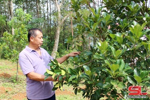 'Lãnh đạo phát triển kinh tế - xã hội, tăng thu nhập cho nhân dân