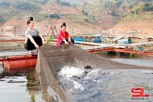 'Nuôi thủy sản theo hướng bền vững