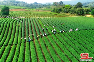 Mục tiêu trở thành trung tâm ứng dụng nông nghiệp công nghệ cao