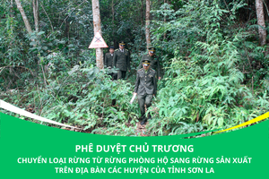 'Phê duyệt chủ trương chuyển loại rừng từ rừng phòng hộ sang rừng sản xuất trên địa bàn các huyện của tỉnh Sơn La