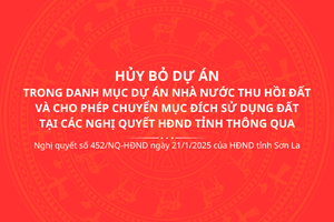 'Nghị quyết số 452/NQ-HĐND ngày 21/1/2025 của HĐND tỉnh Sơn La