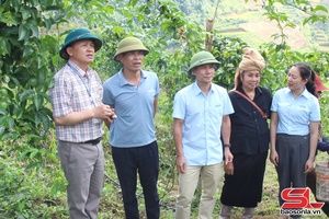 'Đa dạng các mô hình khuyến nông