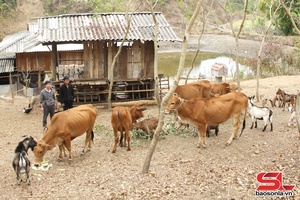 '“Dân vận khéo” là việc làm thường xuyên, liên tục