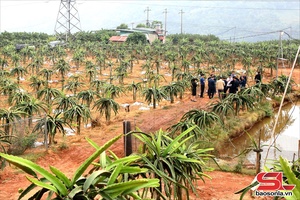 'Đảng viên tiên phong, gương mẫu đi đầu