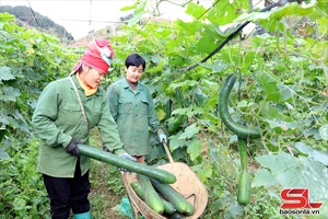 'Nông dân Mai Sơn xây dựng nông thôn mới