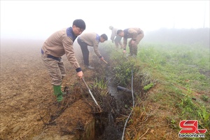 'Đảm bảo nguồn nước phục vụ sản xuất vụ lúa xuân