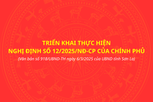 'Triển khai thực hiện Nghị định số 12/2025/NĐ-CP của chính phủ