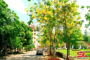 'Tháng năm về