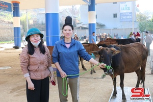 'Hỗ trợ nhân dân phát triển sản xuất, giảm nghèo bền vững
