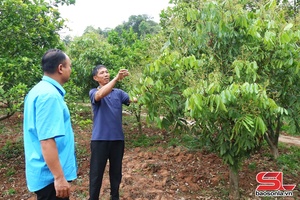 'Đảng bộ xã Chiềng Xuân học và làm theo Bác