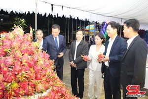 'Xây dựng thương hiệu “Thanh long Sơn La”